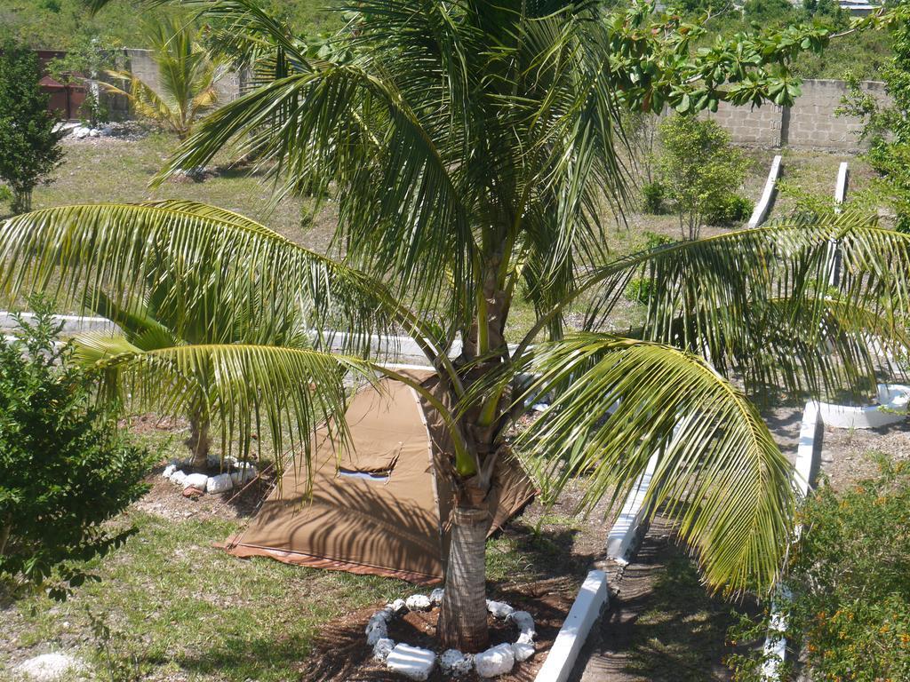 Bed & Breakfast Tarbush Nungwi