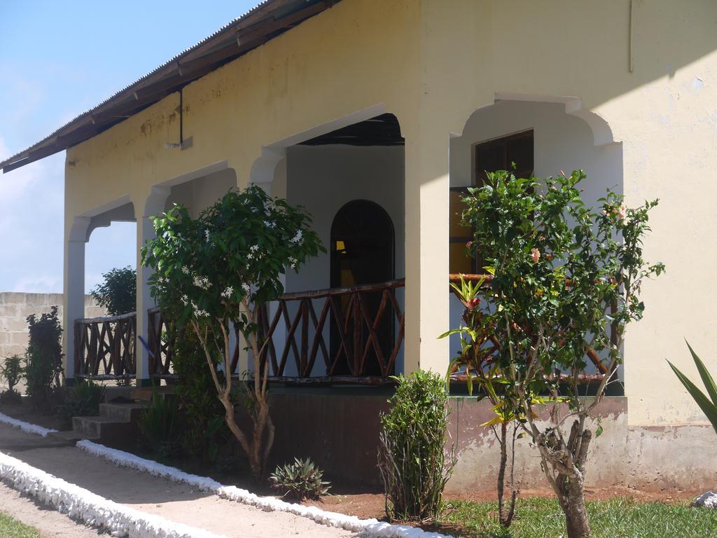 Tarbush Nungwi