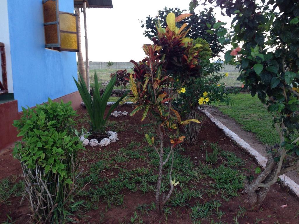 Bed & Breakfast Tarbush Nungwi