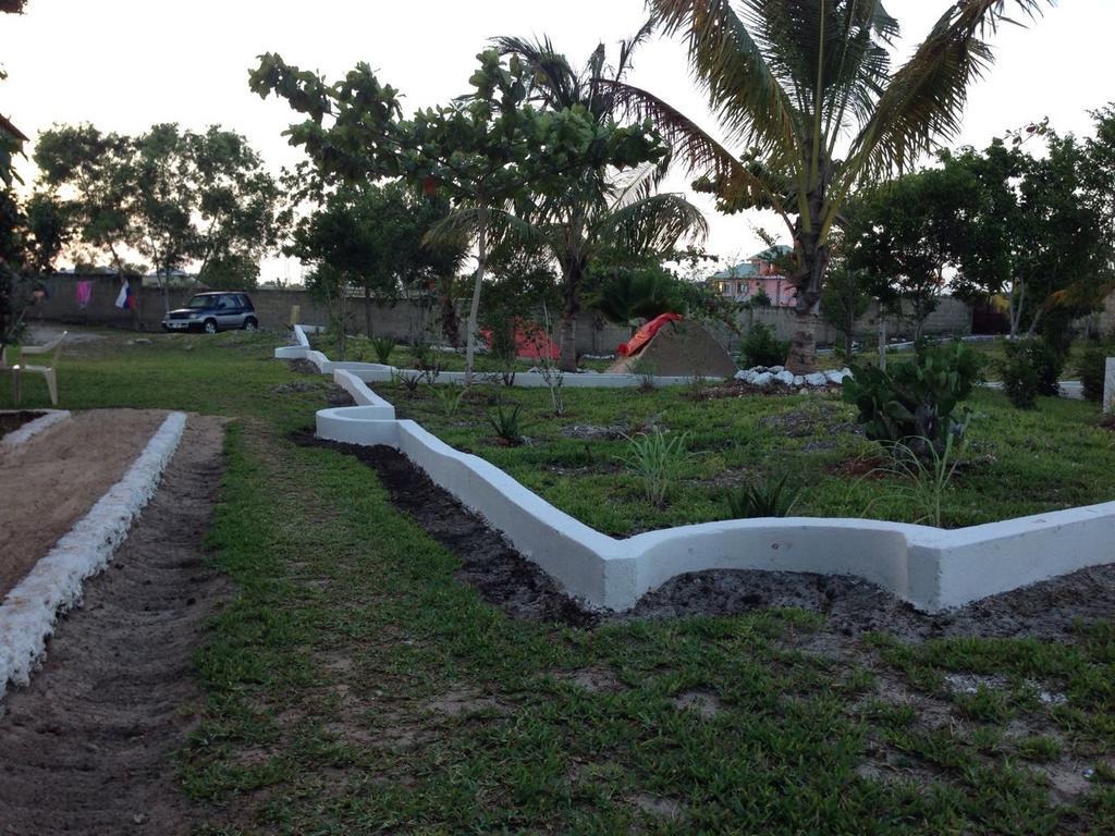 Tarbush Nungwi